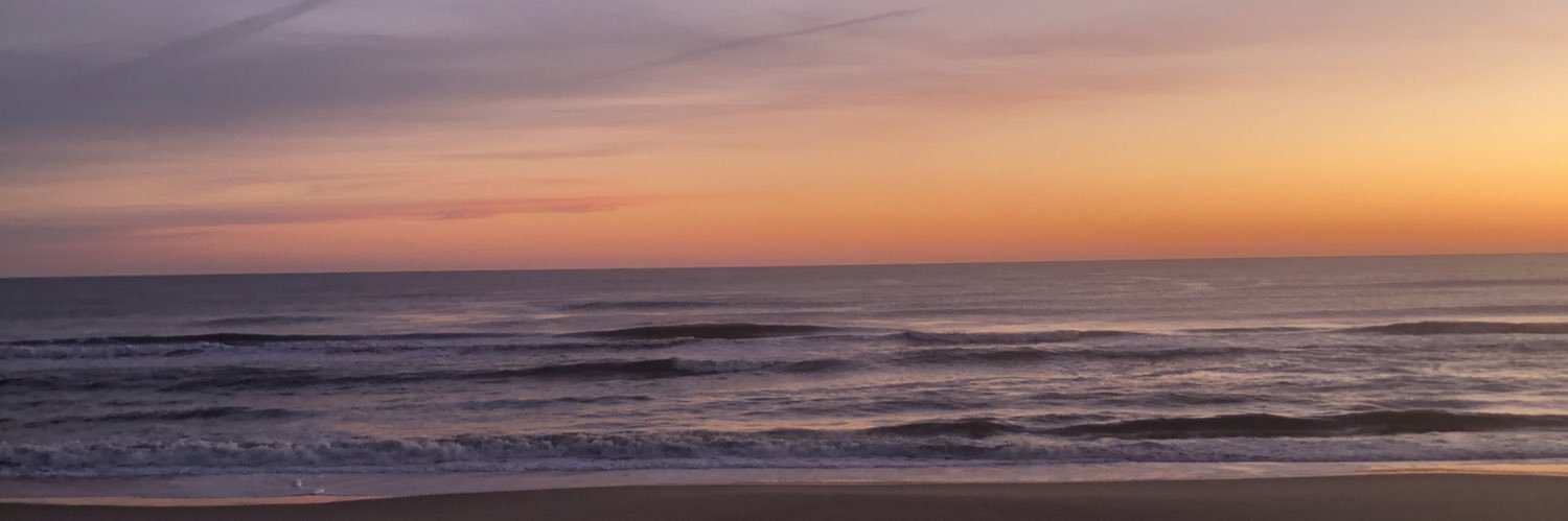 chipcrylark's profile banner image