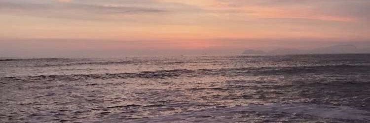 Raypedalino's profile banner image