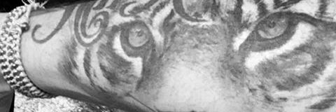 Edelnelssys's profile banner image
