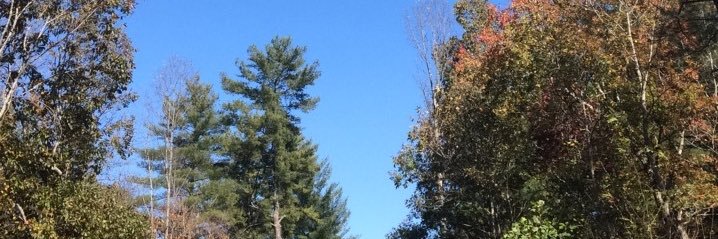IIIWRE3's profile banner image