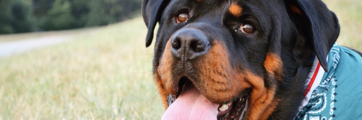 edgar_mtz3's profile banner image