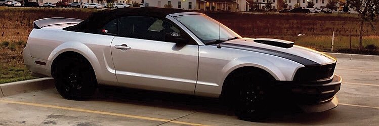 Rachel Freeze™ banner