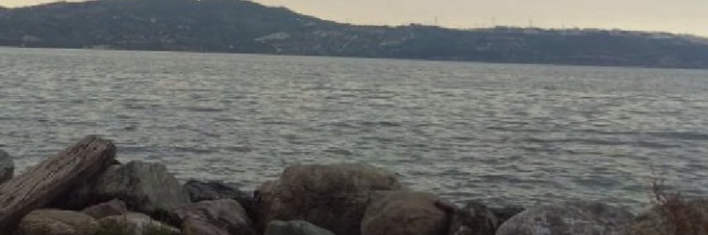 rammad111's profile banner image