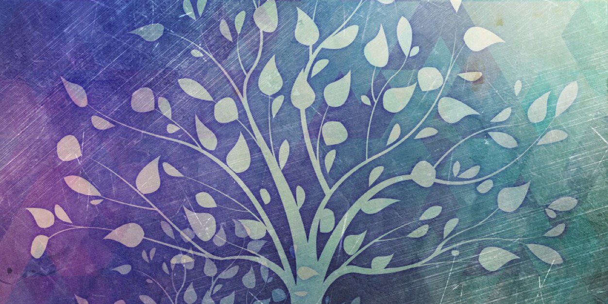 Theresa Meinhardt banner