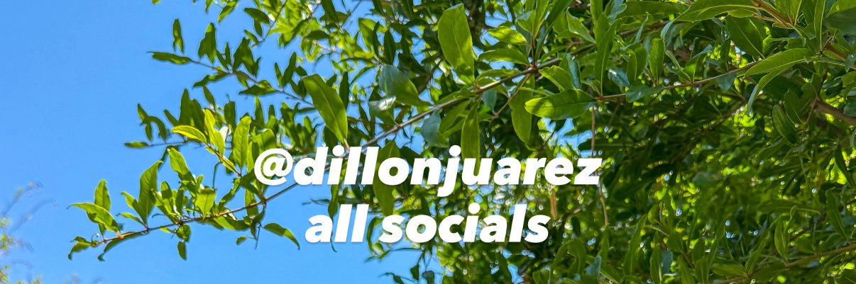 dillonnnn banner