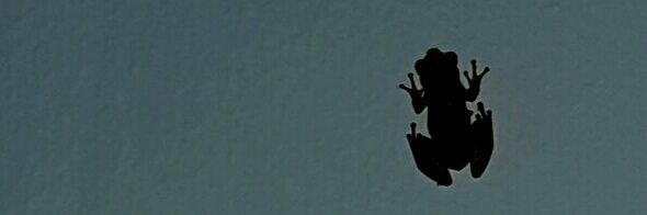 Tere Castañón banner
