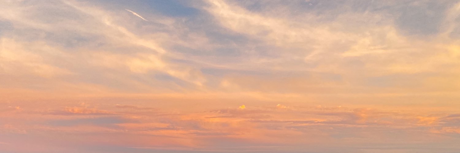 bridgitmckay's profile banner image