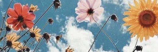 leasmith_12's profile banner image