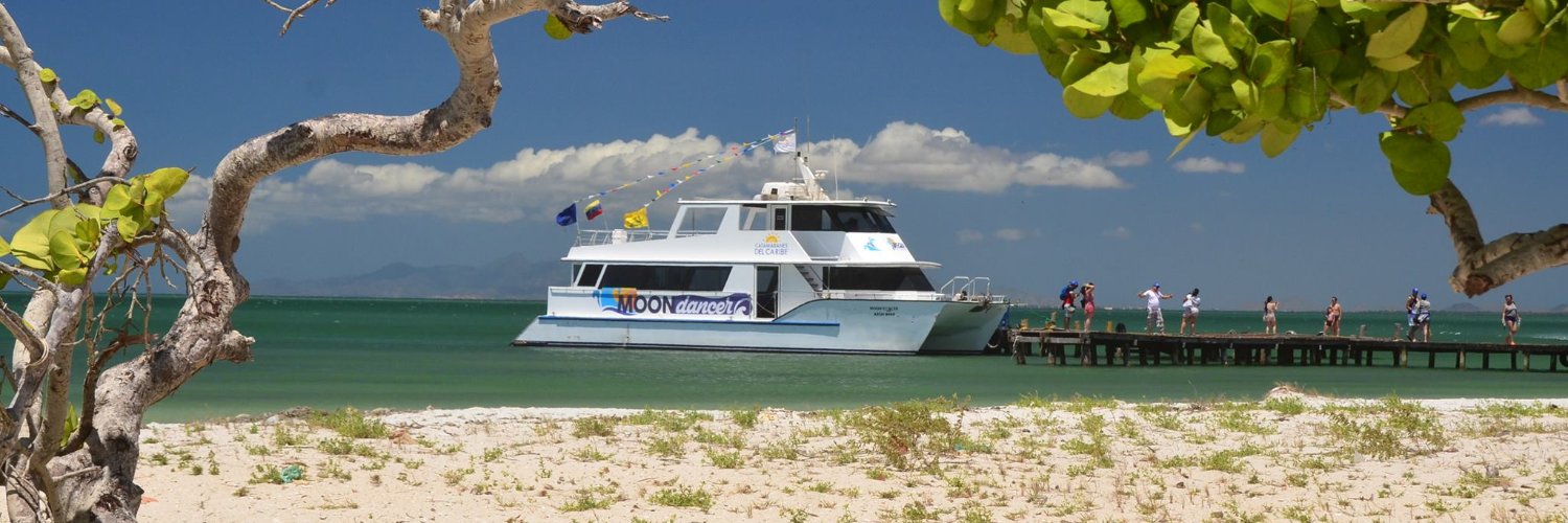 Catamaranes's profile banner image
