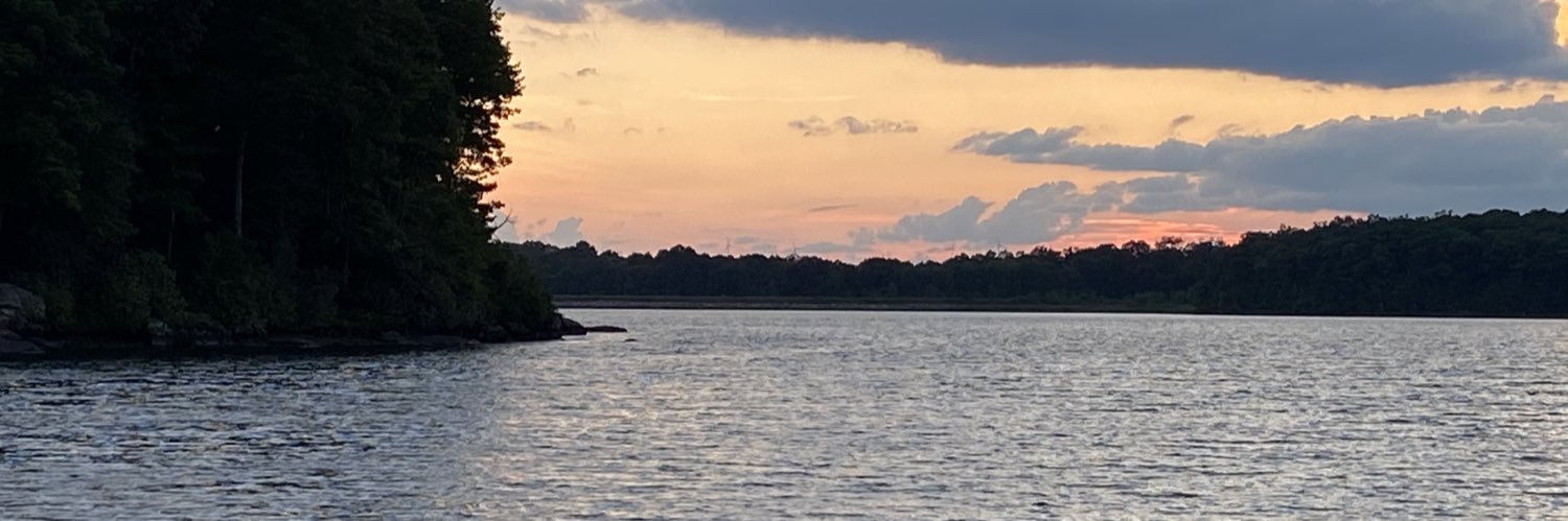 AMarcavitch's profile banner image