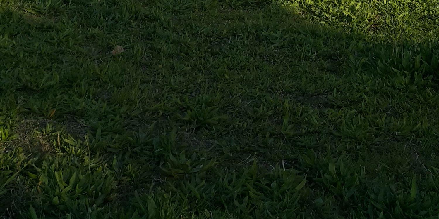 مشــآعر banner