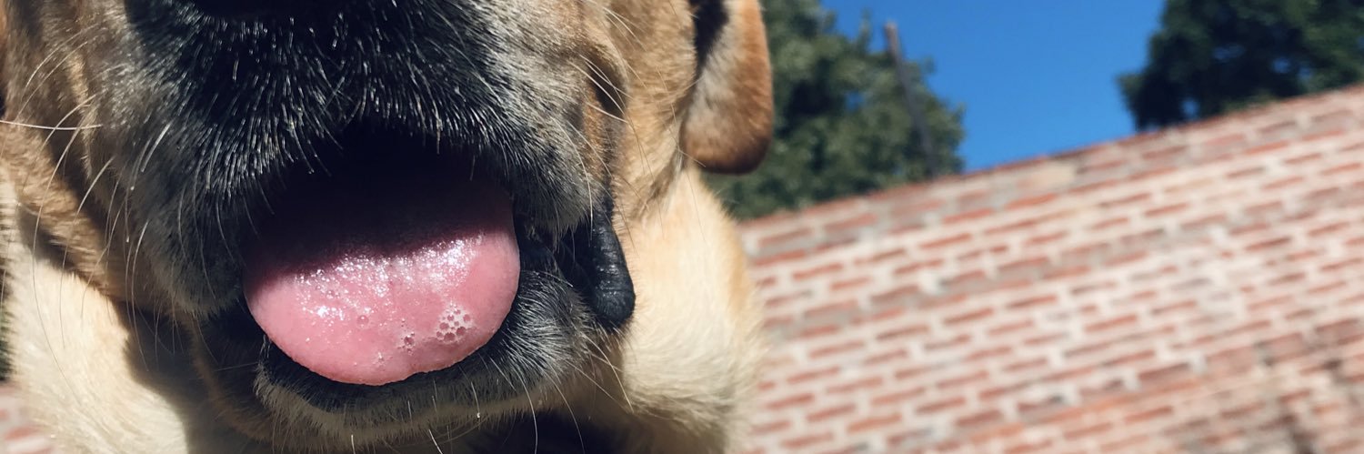 marinormb's profile banner image