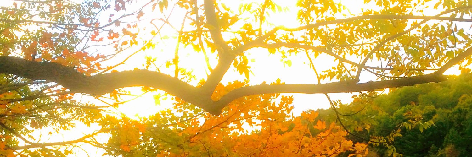 jakecaldwell2's profile banner image