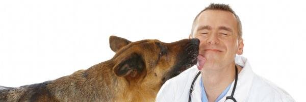 FindAVet Profile Banner