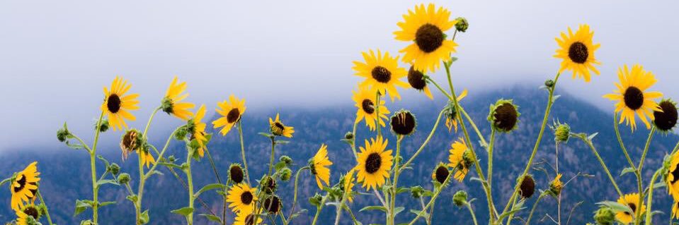 mtulls14's profile banner image