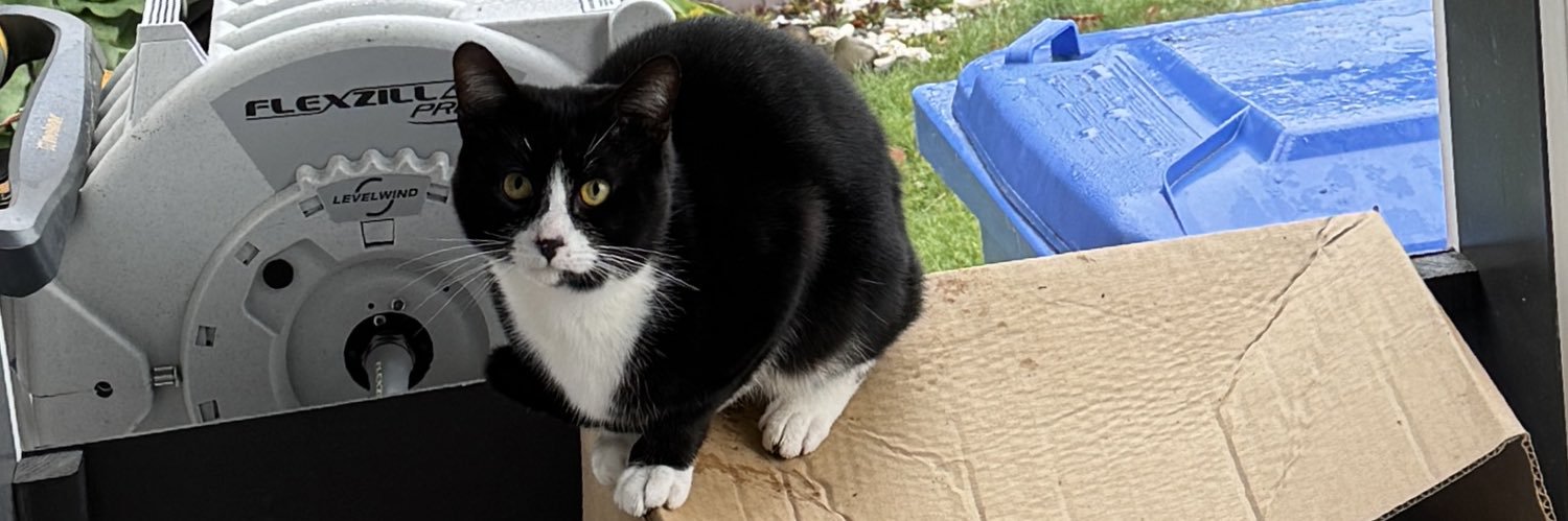 _OscarTheCat's profile banner image