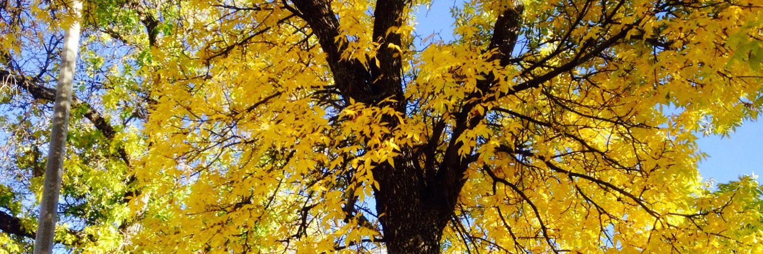 daniellebRider's profile banner image