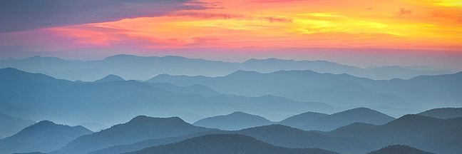 Ryan M. Eller banner