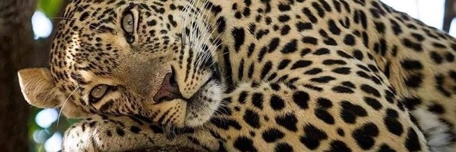 CainDavid_'s profile banner image