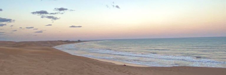 AyRolon's profile banner image