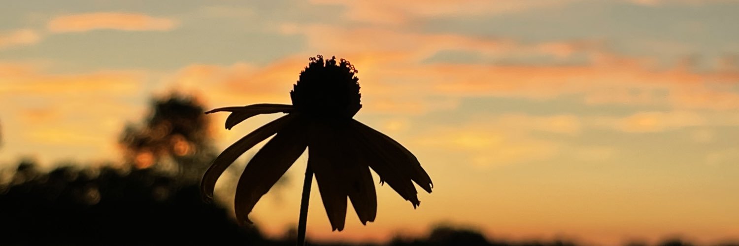 That Redhead Jessica banner