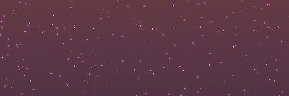 hmullins316's profile banner image