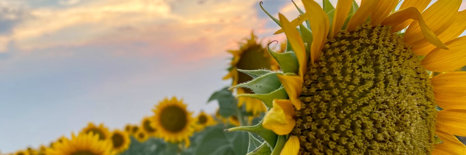 kdvanmatre's profile banner image