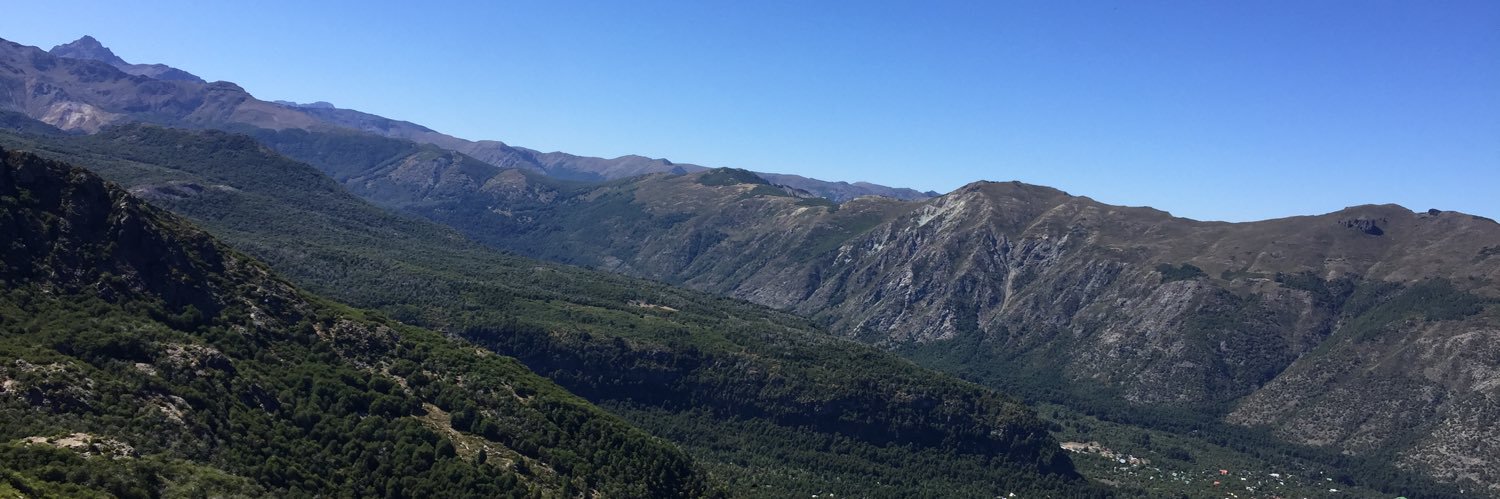 CPulleghini's profile banner image
