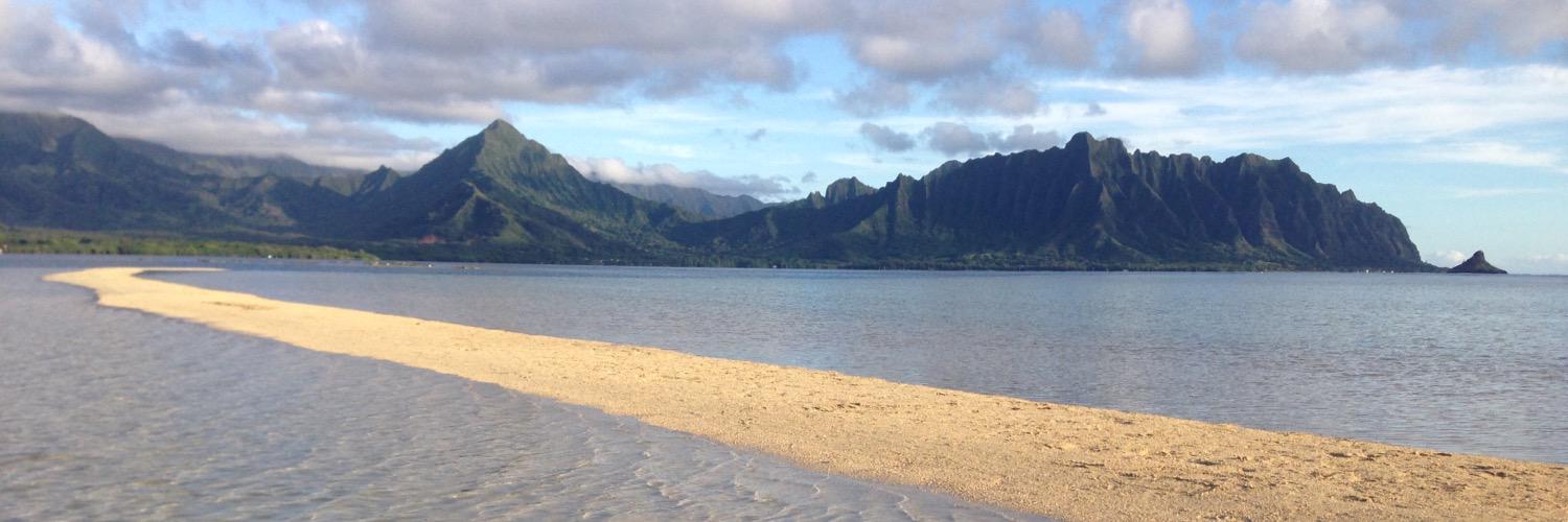 HawaiiRika's profile banner image