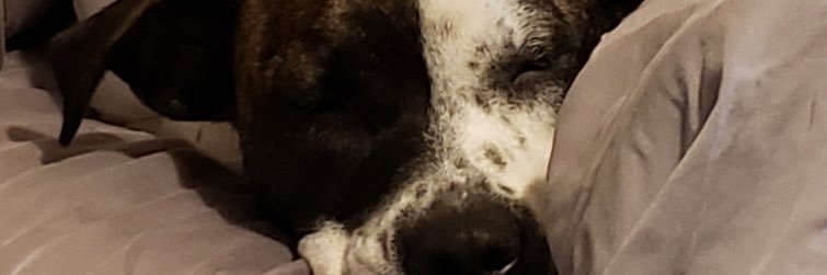 leonwilke15's profile banner image