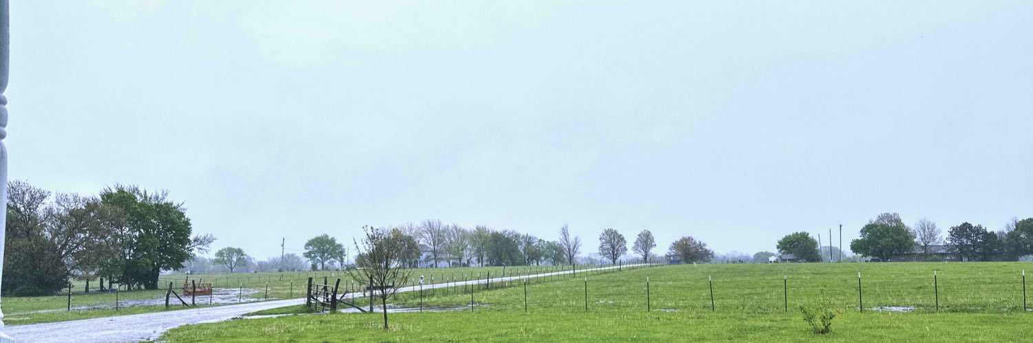 Heather Nichole ✨ banner