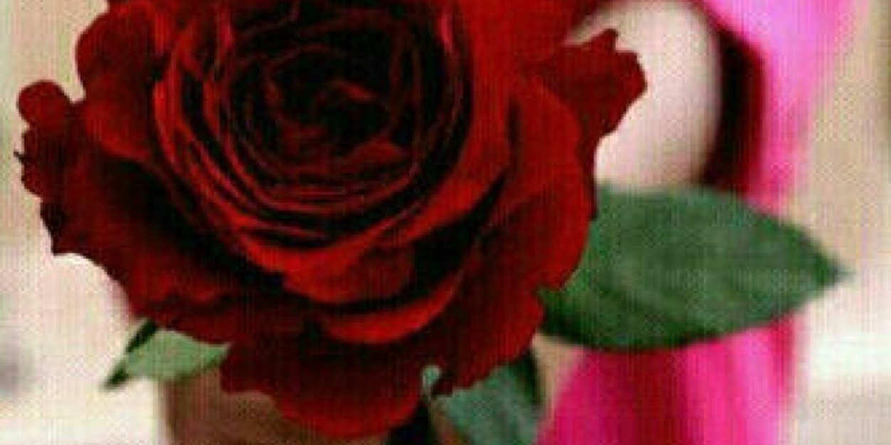 adnan012342's profile banner image