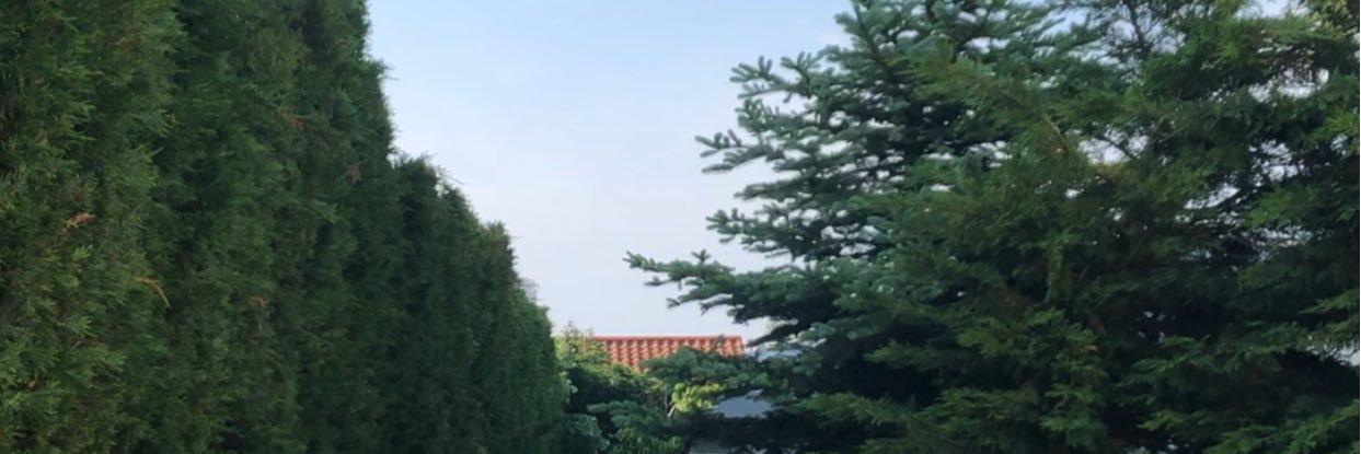 mucahity's profile banner image