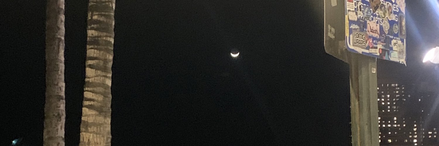 erikamcdaniel_'s profile banner image