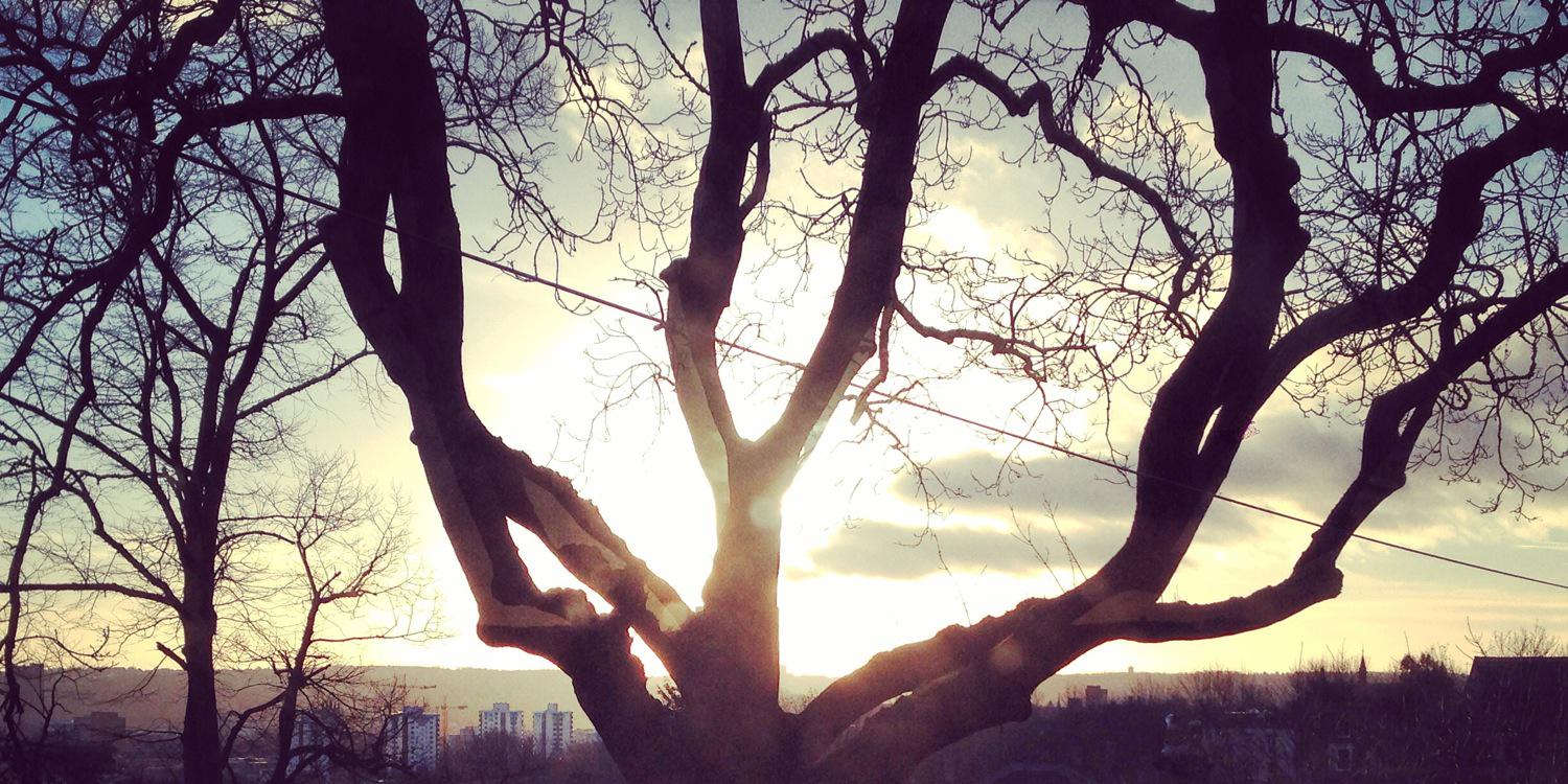 TheLAB_Tweets's profile banner image