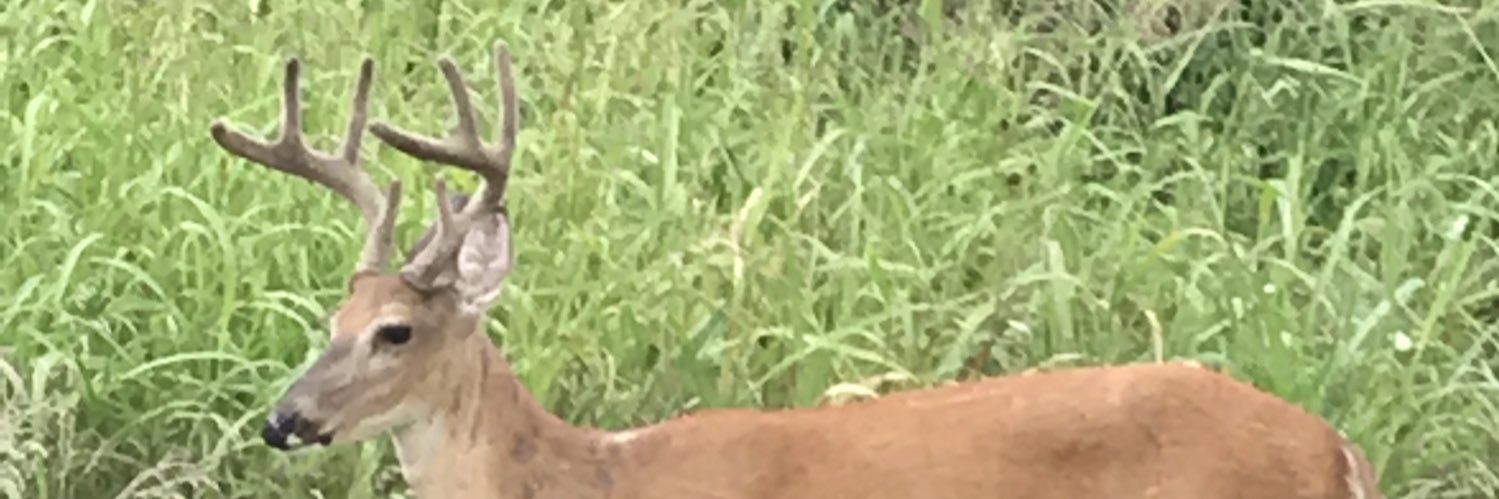 BigMaxwe11's profile banner image