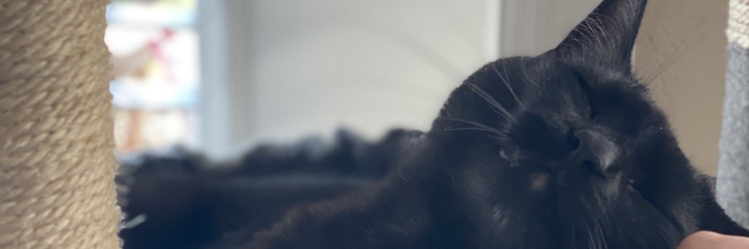 capncate_'s profile banner image