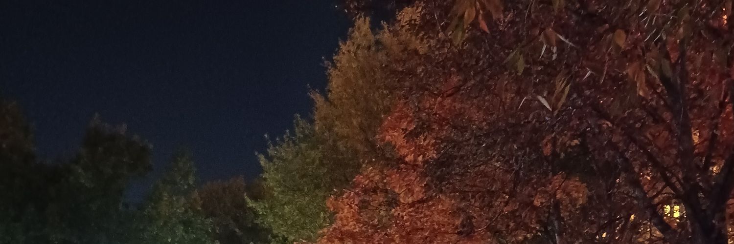 delgadofj's profile banner image