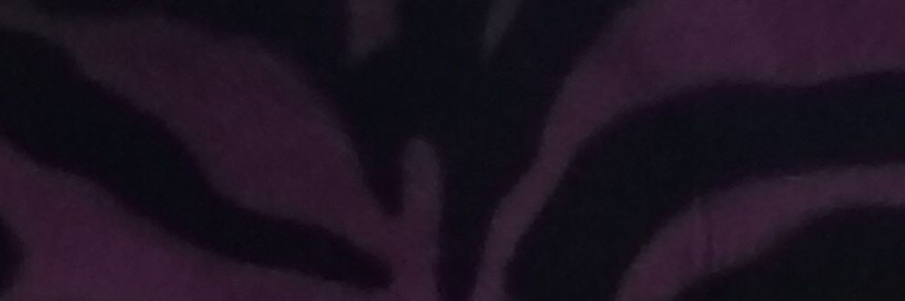 MzSpitFyre's profile banner image