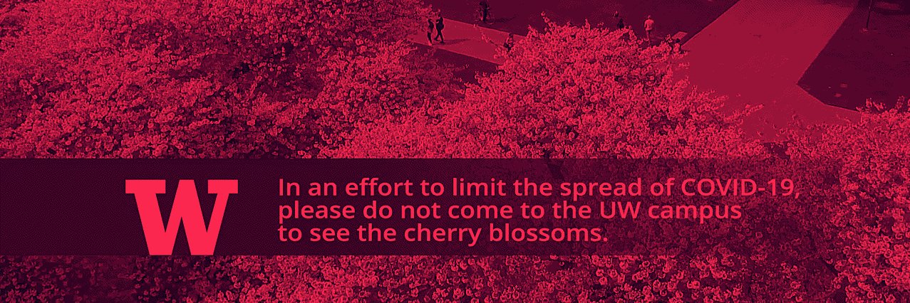 yves adele fartlow banner