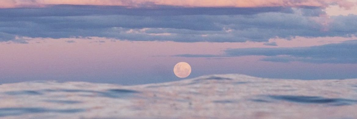 pamelann24's profile banner image