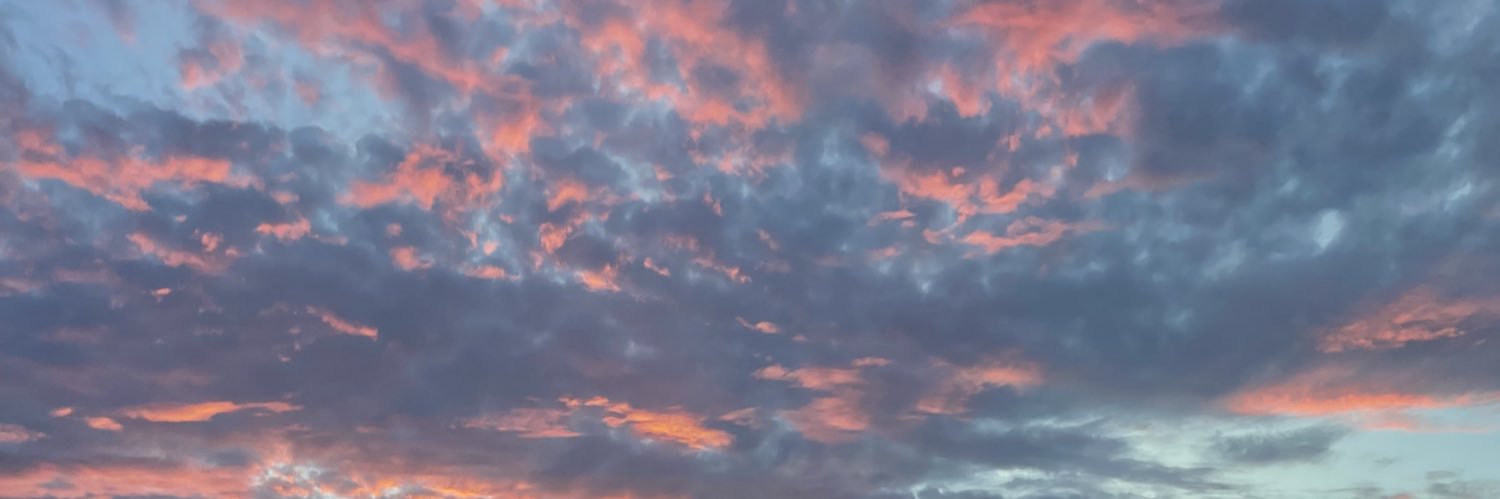 jassmminn's profile banner image