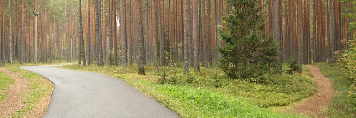 A_Voitka's profile banner image