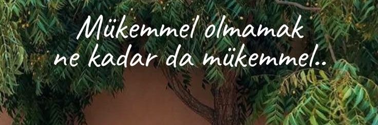 MicaNesee's profile banner image