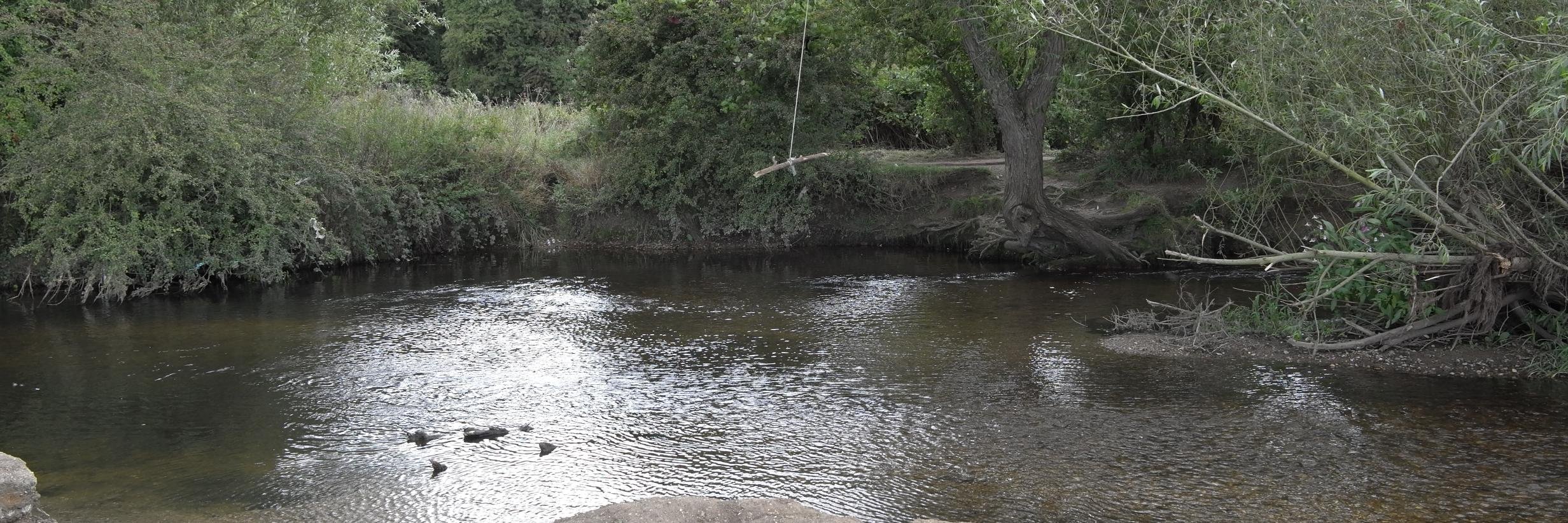 Grant Denkinson banner