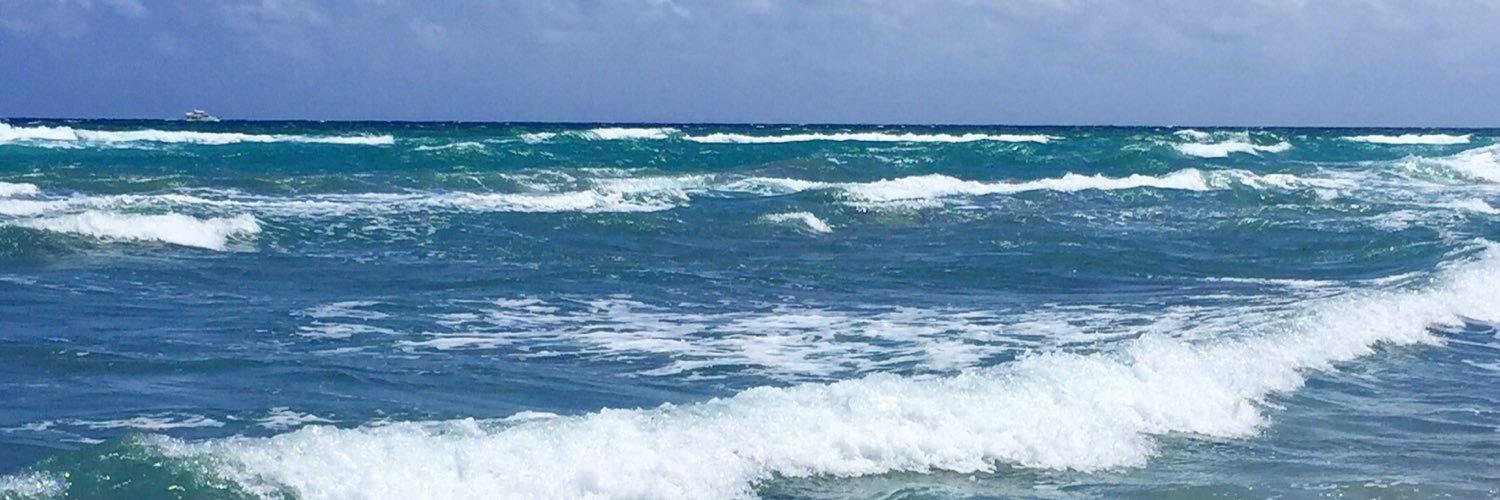 JulesGreenstein's profile banner image