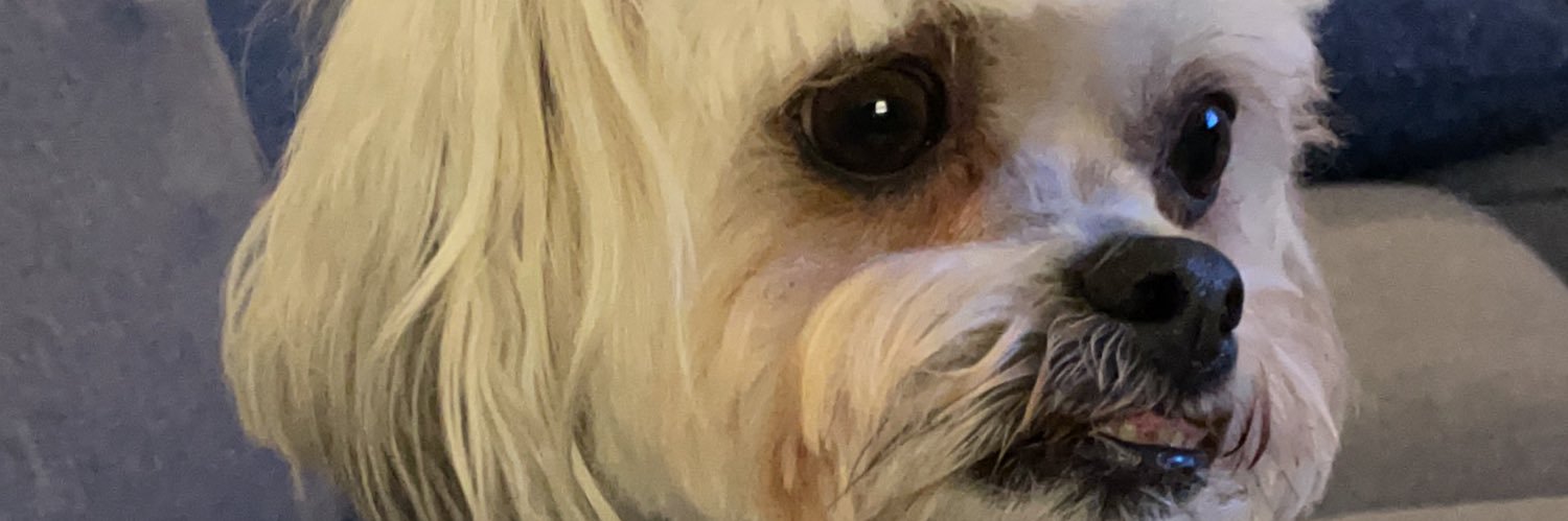 jaussie74's profile banner image