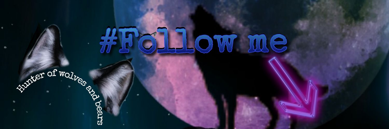 OsoGay29's profile banner image