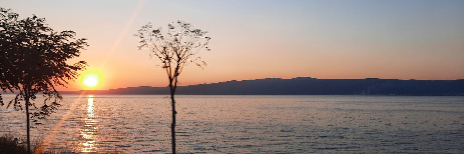 arzual2's profile banner image