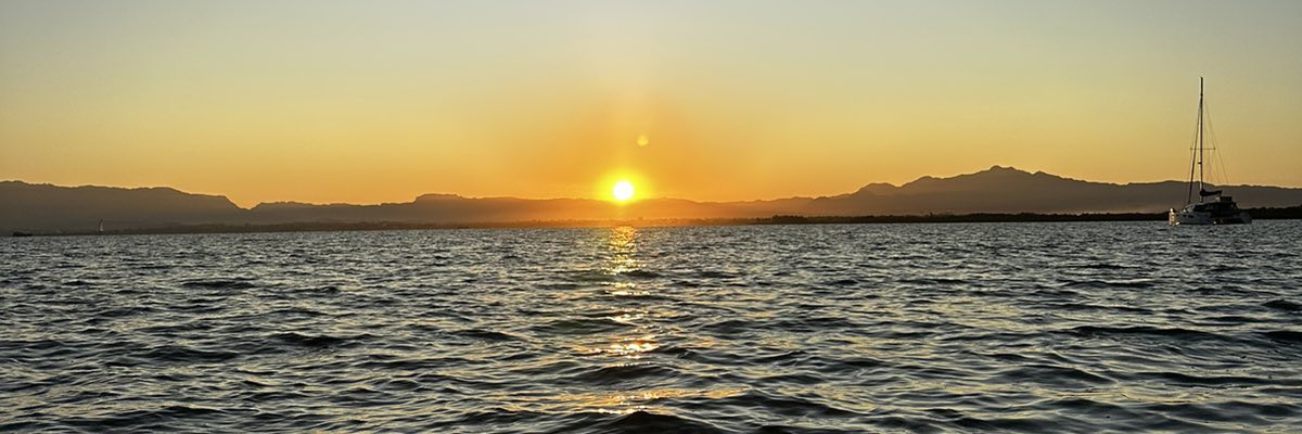 dshark_'s profile banner image